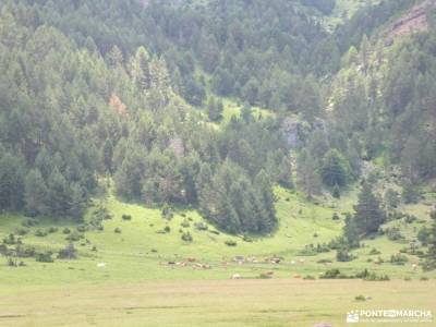 Sierras de Neila y Urbión;mancomunidad hurdes madrid turismo refugio elola cueva valiente turismo si